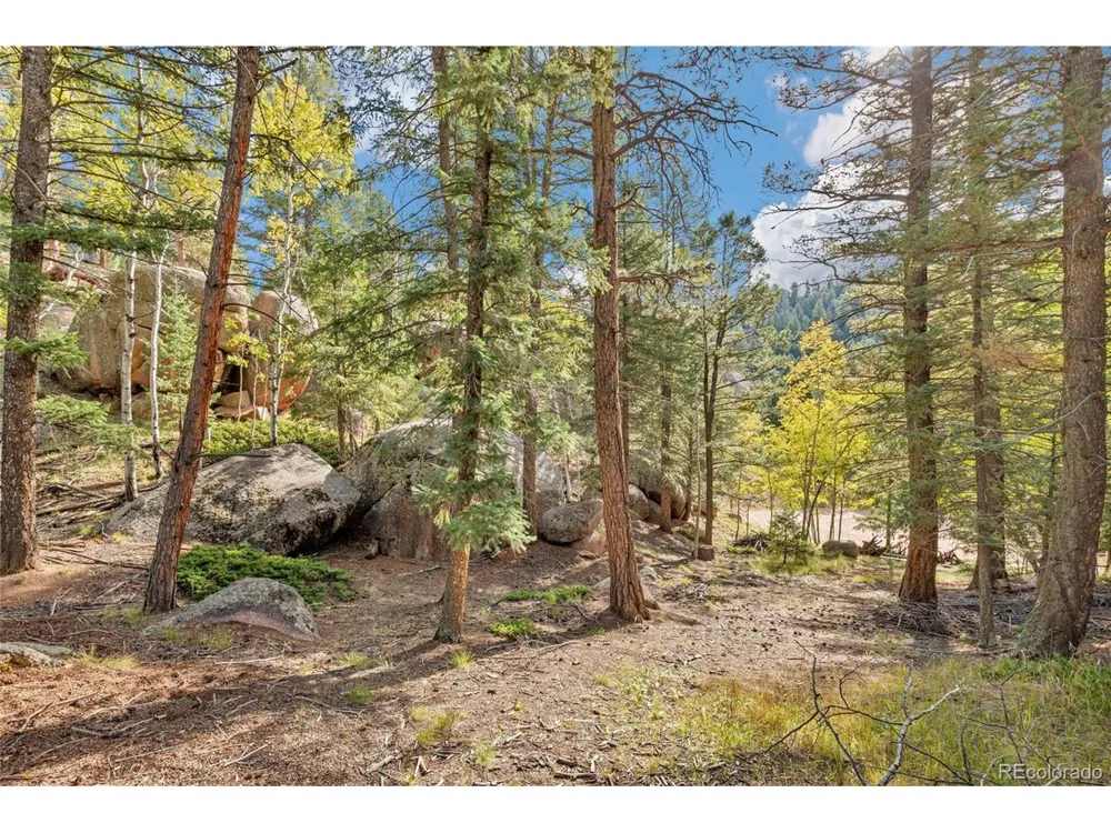 926 Pinon Lane Florissant, CO 80816