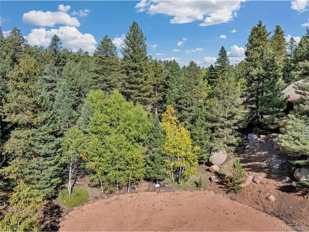 926 Pinon Lane Florissant, CO 80816