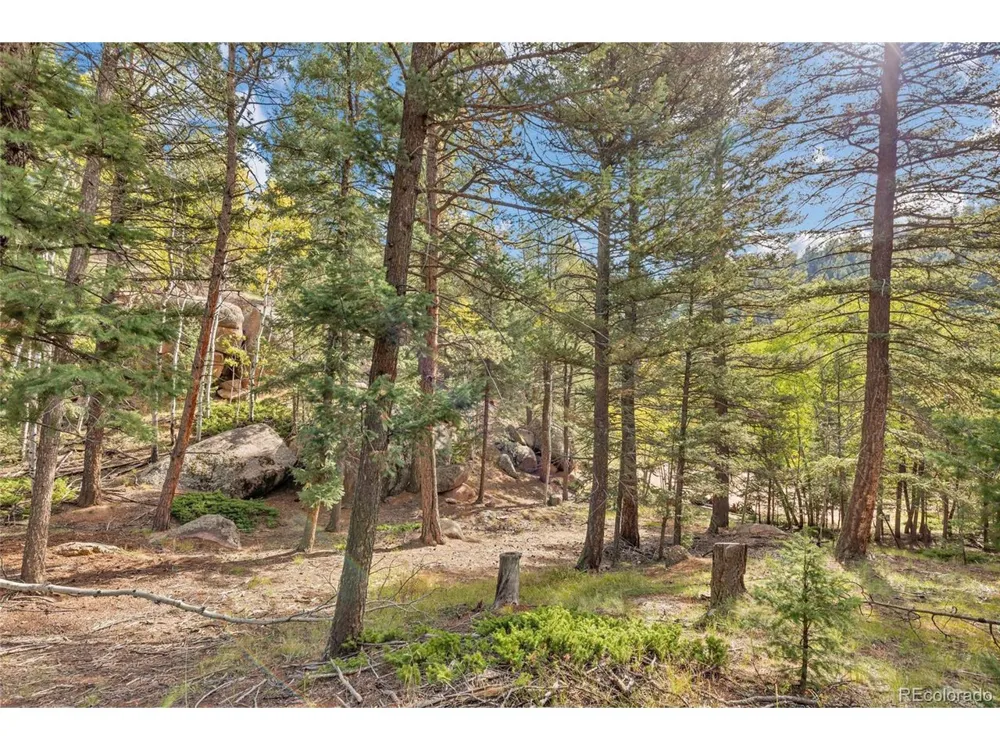 926 Pinon Lane Florissant, CO 80816