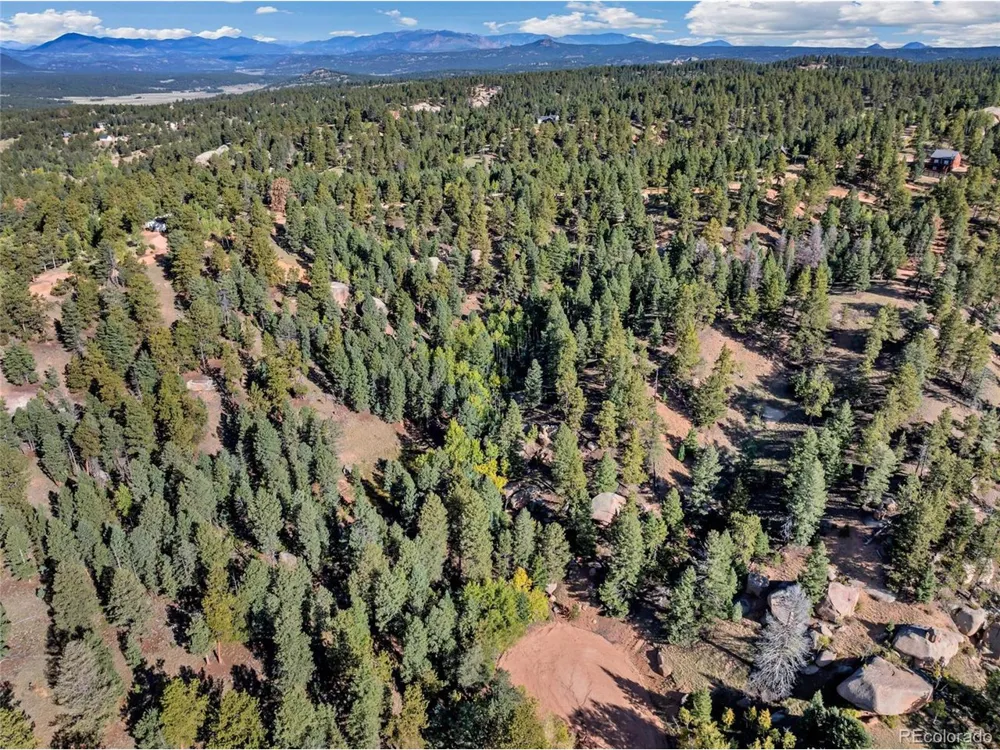 926 Pinon Lane Florissant, CO 80816