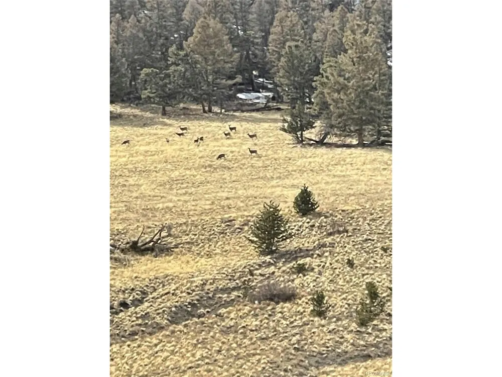 5123 Bar D Road Como, CO 80432