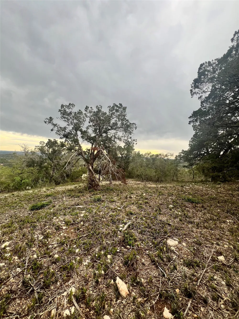 19705 Tyler Trail Leander, TX 78645