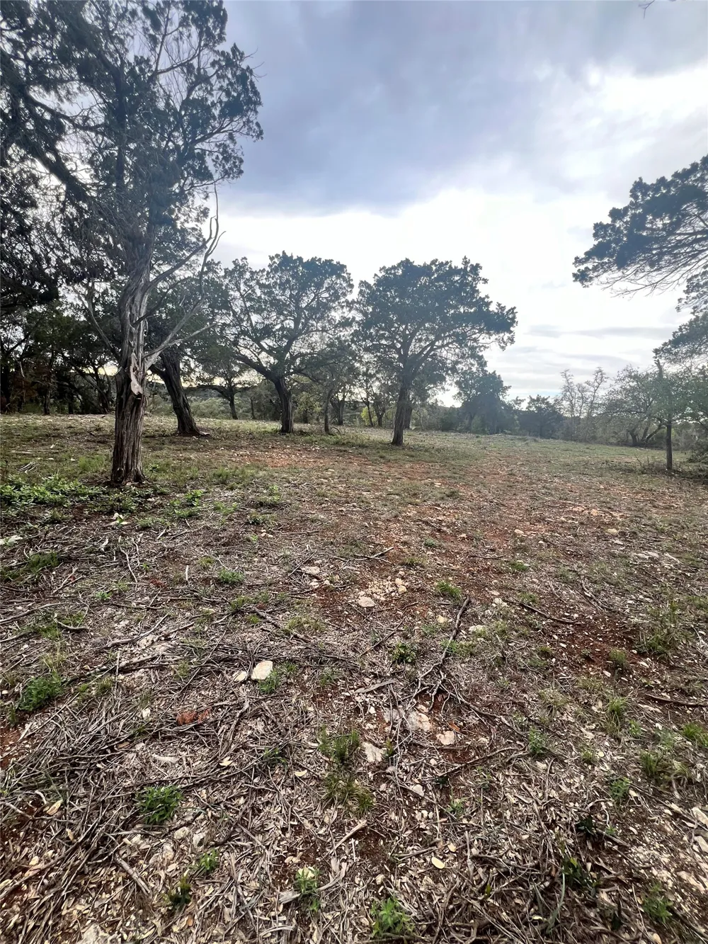 19705 Tyler Trail Leander, TX 78645