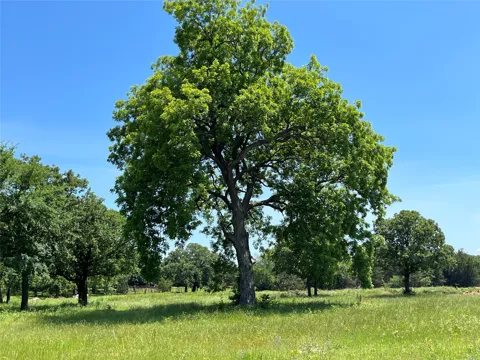 Kiowa Oaks Court