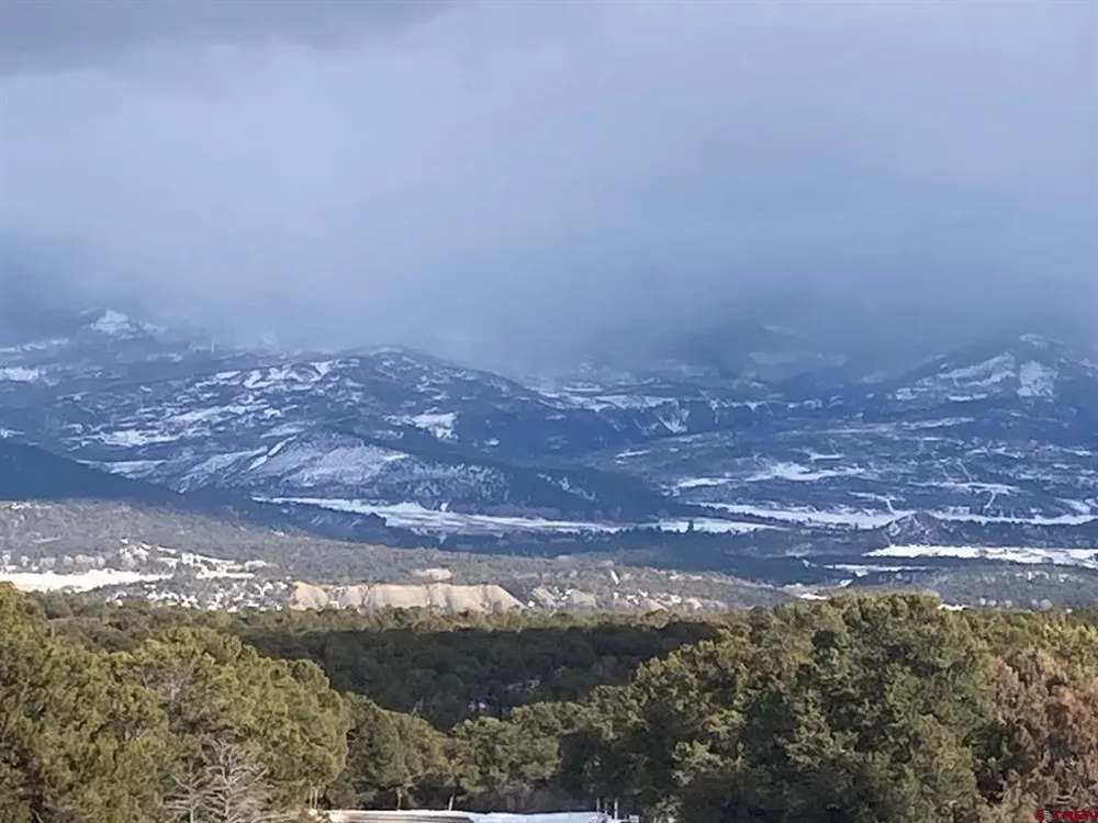 2 Snowberry Lane Ridgway, CO 81432