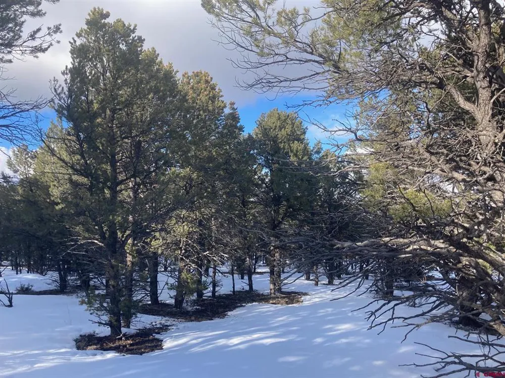 2 Snowberry Lane Ridgway, CO 81432