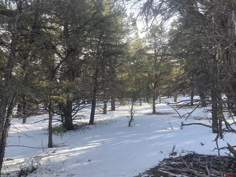 2 Snowberry Lane Ridgway, CO 81432