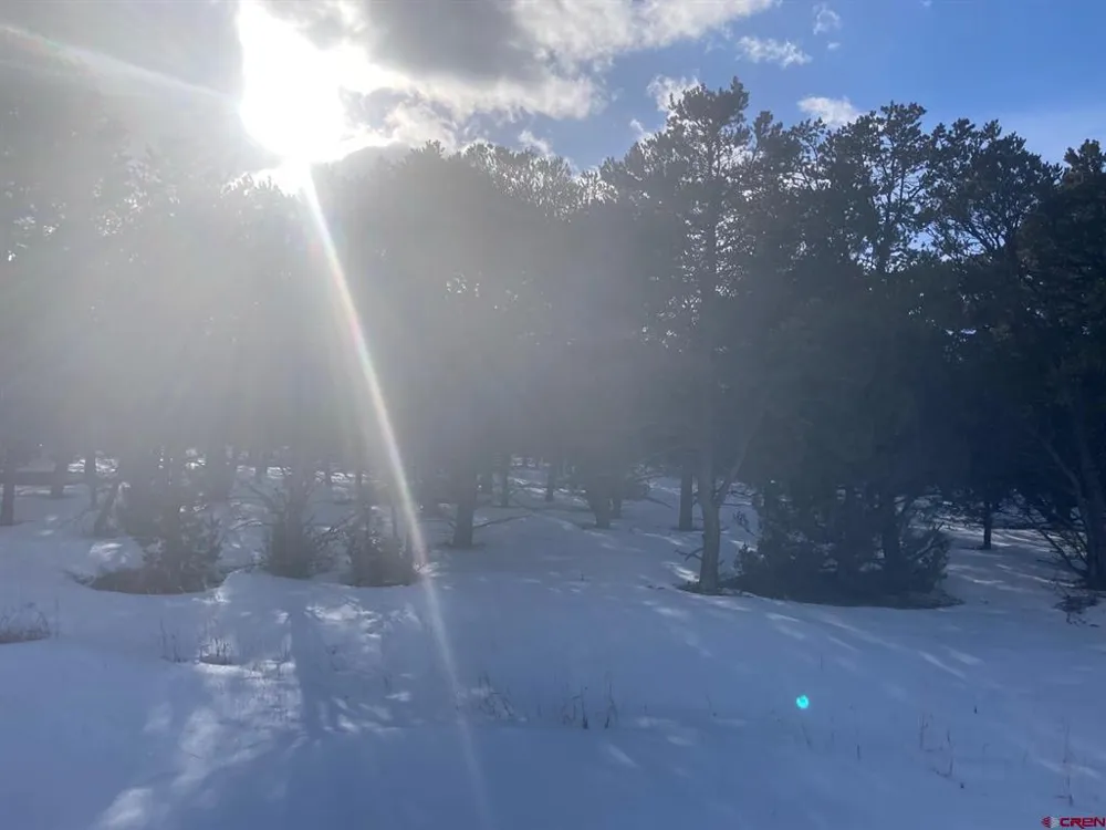 2 Snowberry Lane Ridgway, CO 81432