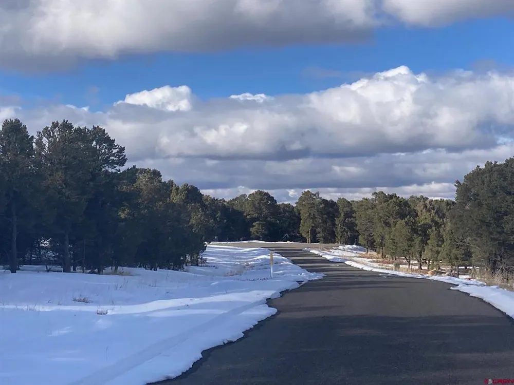 2 Snowberry Lane Ridgway, CO 81432