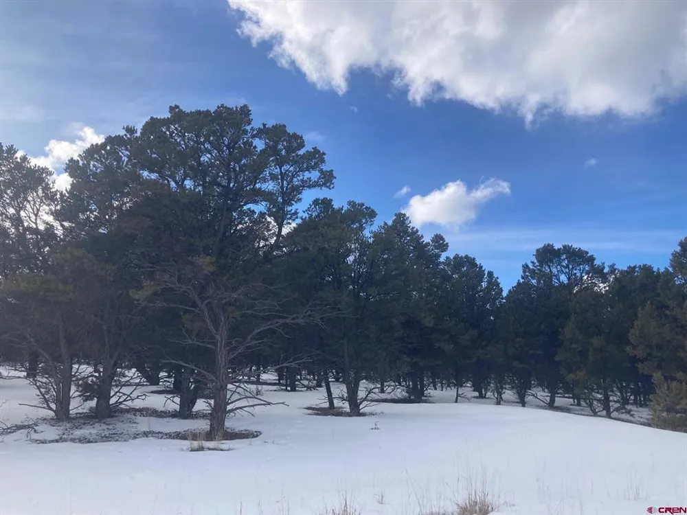 2 Snowberry Lane Ridgway, CO 81432