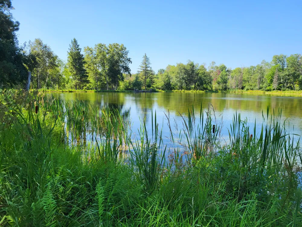 100 W Adams Road Lincoln Township, MI 48622