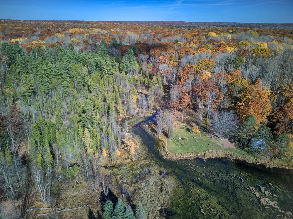 100 W Adams Road Lincoln Township, MI 48622