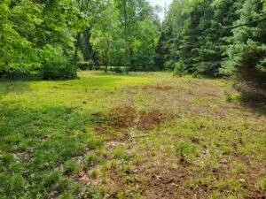 100 W Adams Road Lincoln Township, MI 48622