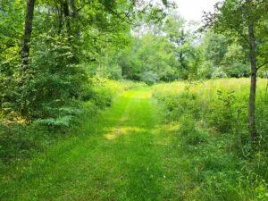 100 W Adams Road Lincoln Township, MI 48622