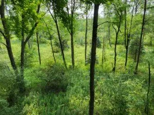 100 W Adams Road Lincoln Township, MI 48622
