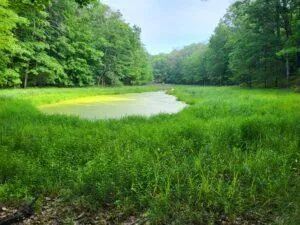 100 W Adams Road Lincoln Township, MI 48622