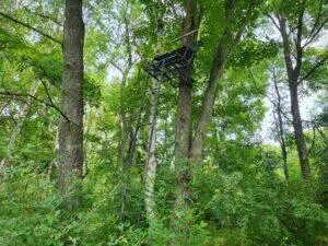 100 W Adams Road Lincoln Township, MI 48622