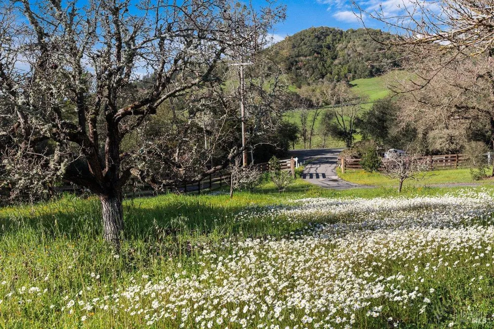 910 Lytton Springs Road Healdsburg, CA 95448