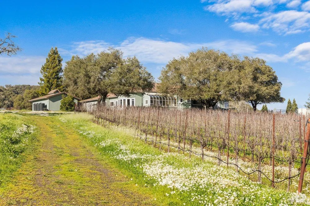 910 Lytton Springs Road Healdsburg, CA 95448