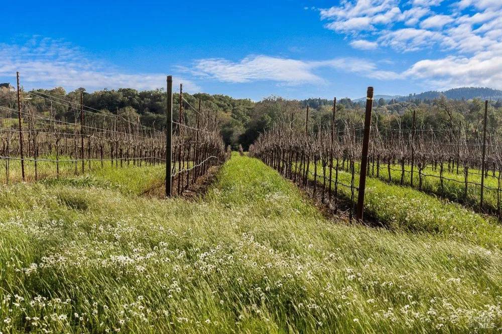 910 Lytton Springs Road Healdsburg, CA 95448