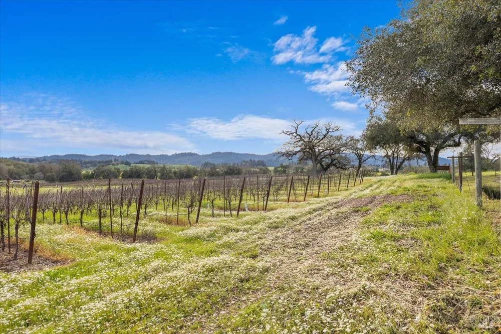 910 Lytton Springs Road Healdsburg, CA 95448
