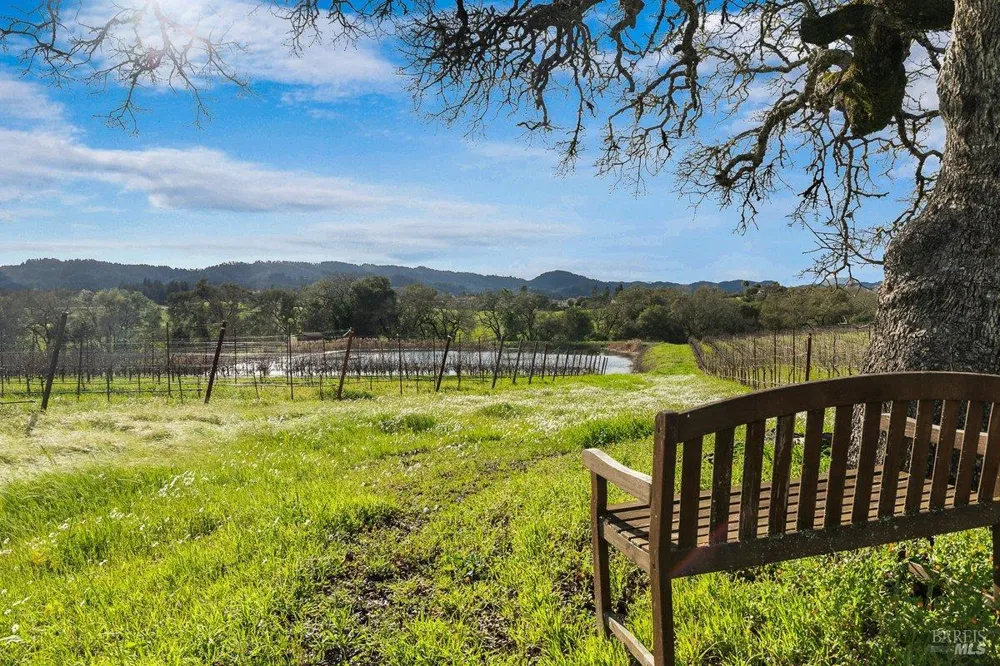910 Lytton Springs Road Healdsburg, CA 95448