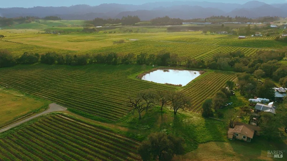 910 Lytton Springs Road Healdsburg, CA 95448