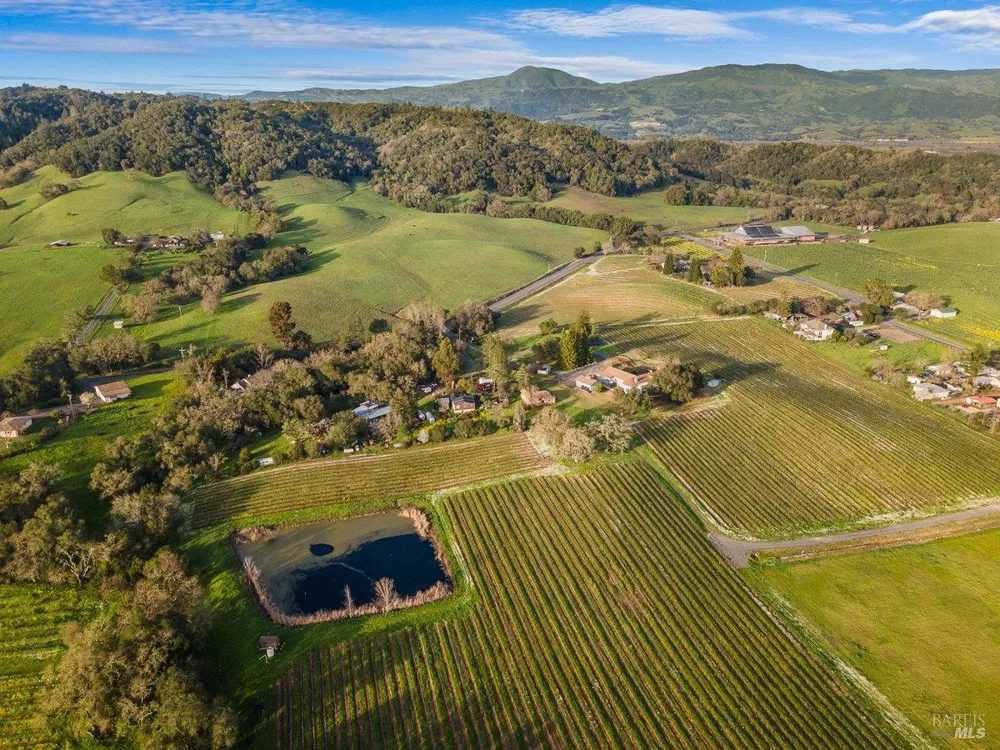 910 Lytton Springs Road Healdsburg, CA 95448