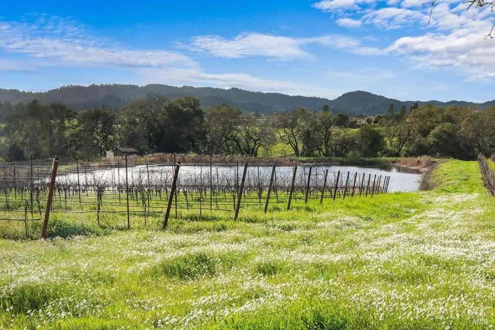 910 Lytton Springs Road Healdsburg, CA 95448
