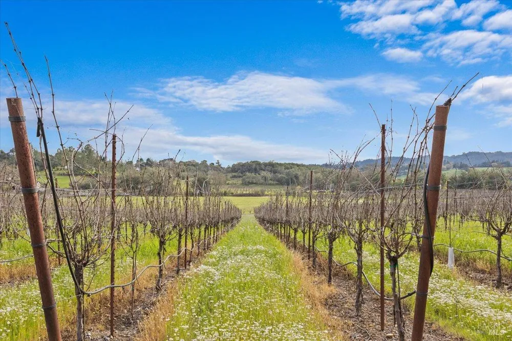 910 Lytton Springs Road Healdsburg, CA 95448