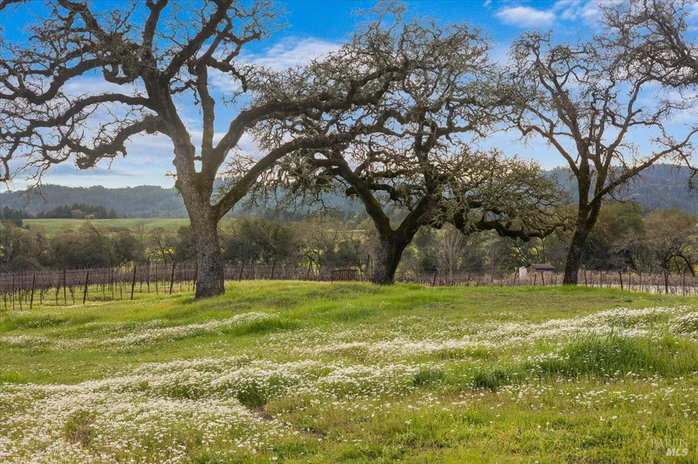 910 Lytton Springs Road Healdsburg, CA 95448