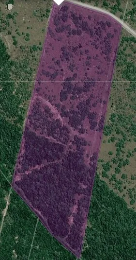 TRACT 13 SAN DIEGO CREEK RANCH San Diego, TX 78384