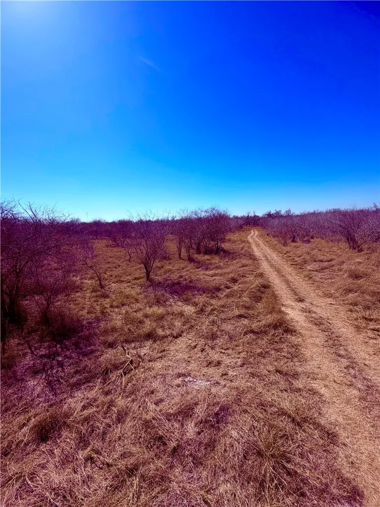 TRACT 13 SAN DIEGO CREEK RANCH San Diego, TX 78384