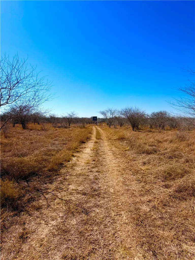 TRACT 13 SAN DIEGO CREEK RANCH San Diego, TX 78384