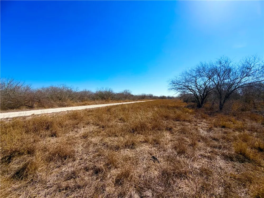 TRACT 13 SAN DIEGO CREEK RANCH San Diego, TX 78384