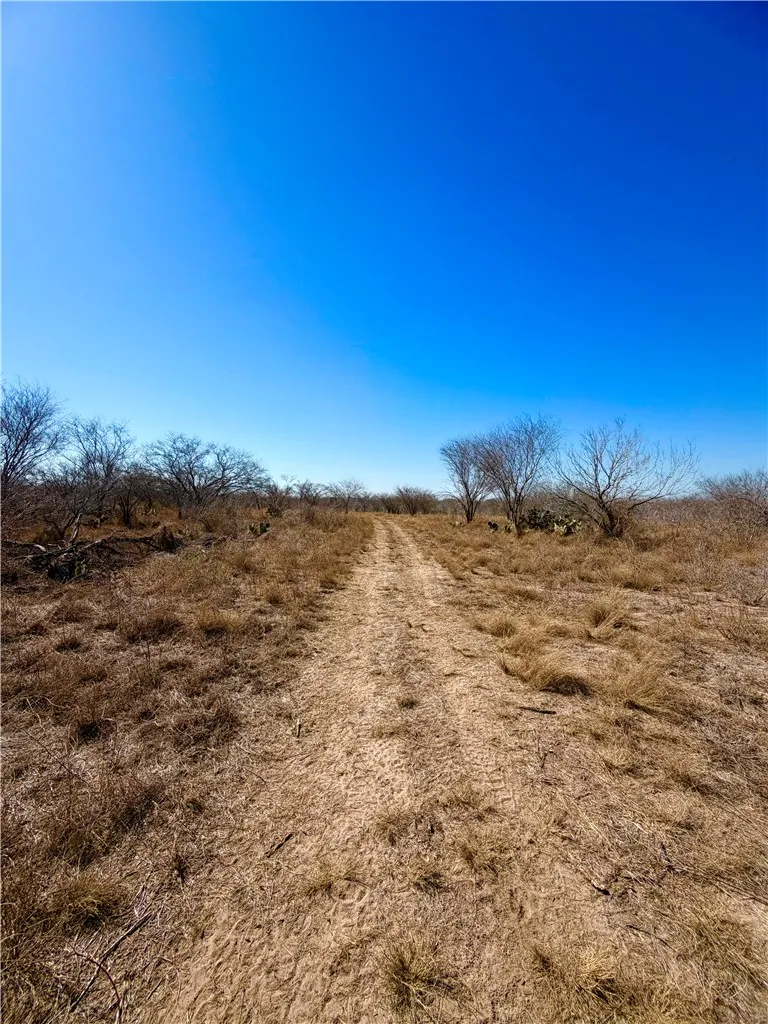TRACT 13 SAN DIEGO CREEK RANCH San Diego, TX 78384