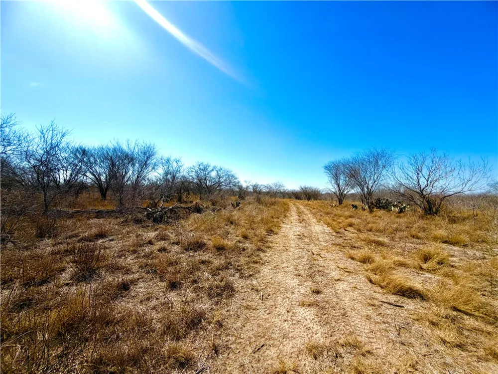 TRACT 13 SAN DIEGO CREEK RANCH San Diego, TX 78384