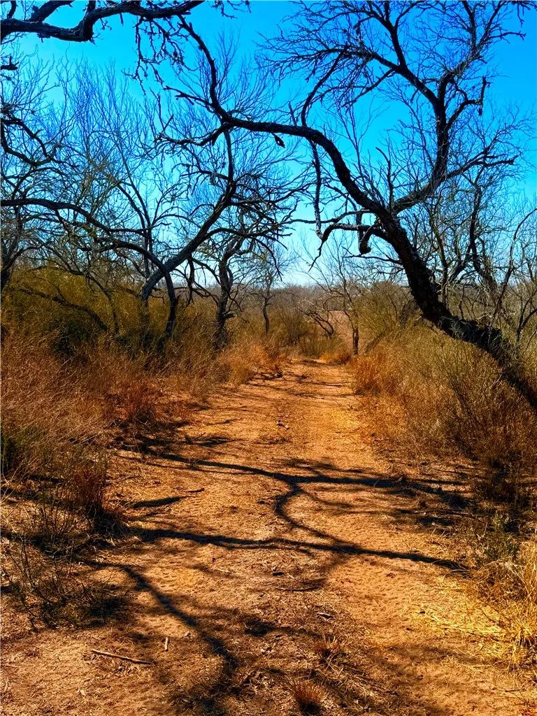 TRACT 13 SAN DIEGO CREEK RANCH San Diego, TX 78384