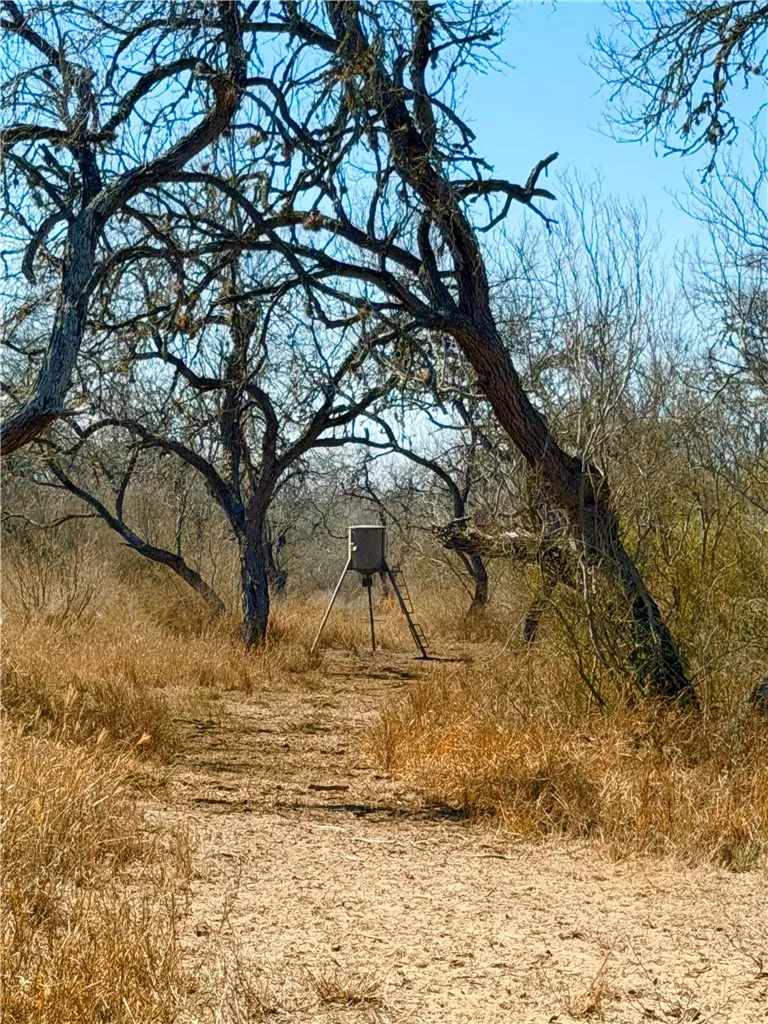 TRACT 13 SAN DIEGO CREEK RANCH San Diego, TX 78384