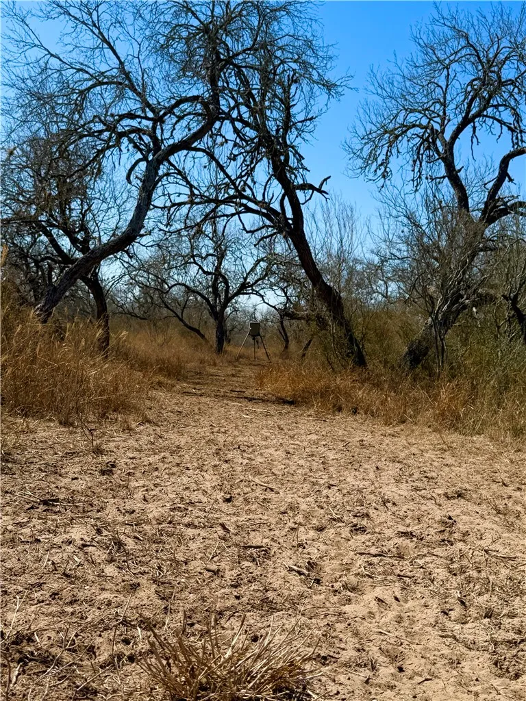 TRACT 13 SAN DIEGO CREEK RANCH San Diego, TX 78384