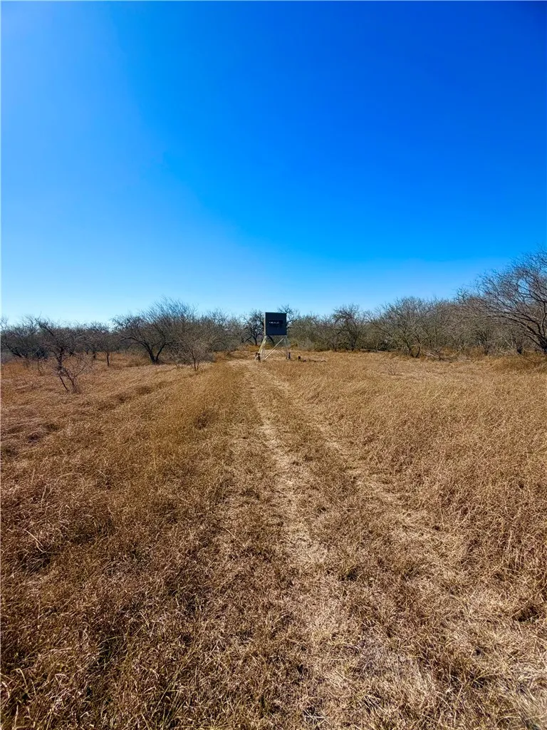 TRACT 13 SAN DIEGO CREEK RANCH San Diego, TX 78384