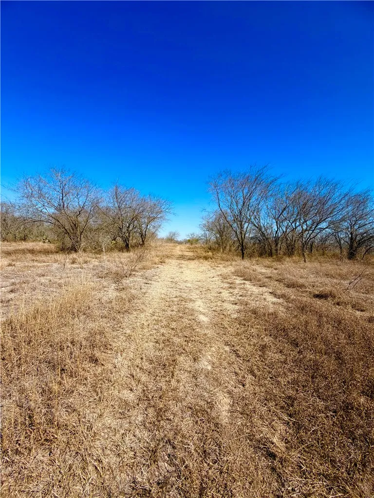 TRACT 13 SAN DIEGO CREEK RANCH San Diego, TX 78384