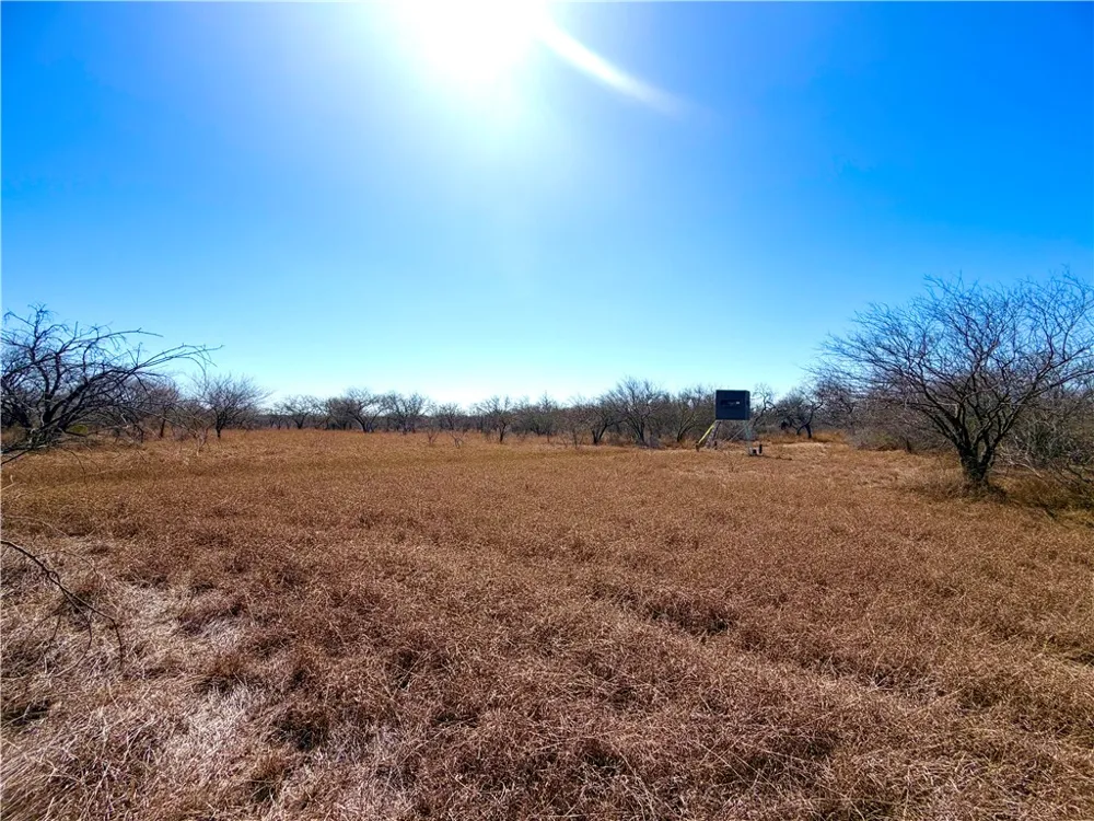 TRACT 13 SAN DIEGO CREEK RANCH San Diego, TX 78384