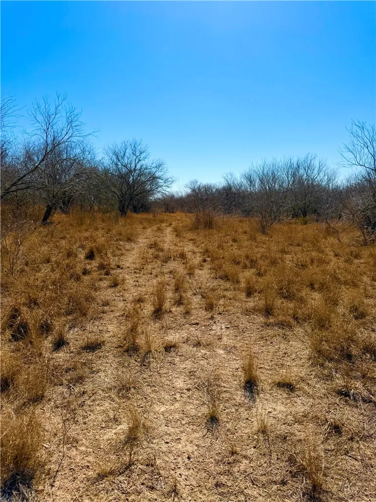 TRACT 13 SAN DIEGO CREEK RANCH San Diego, TX 78384