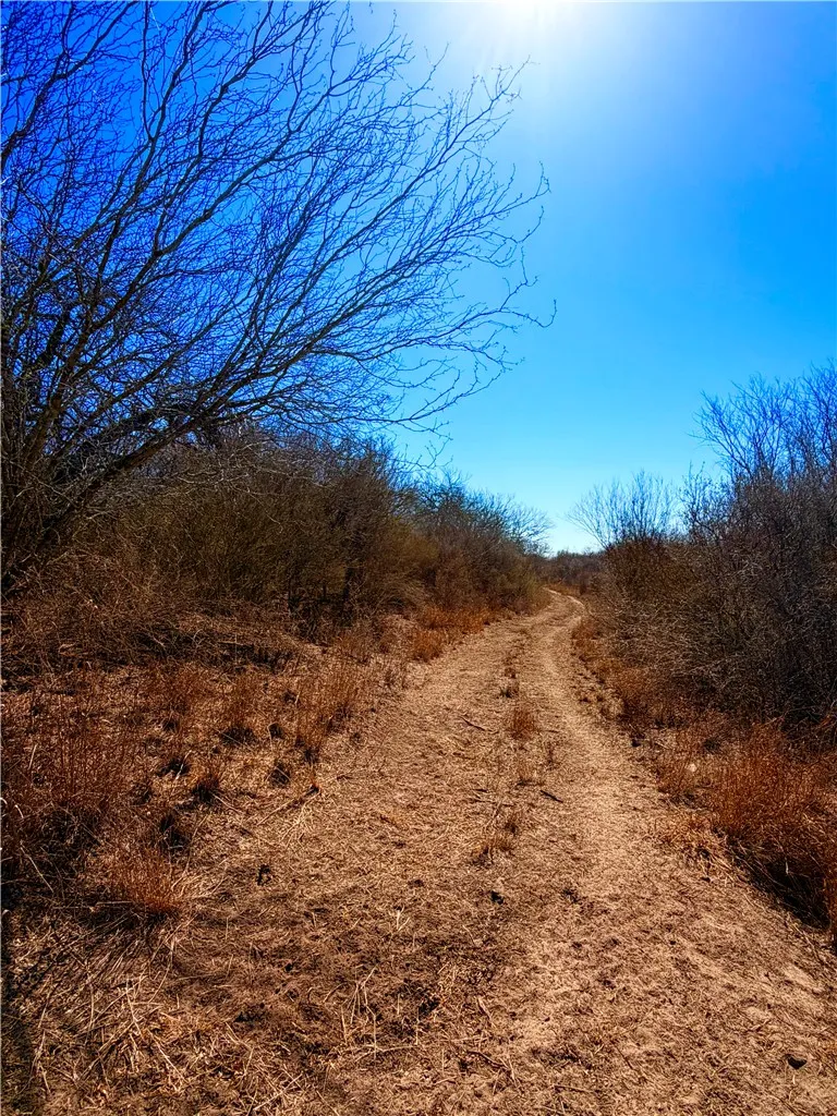 TRACT 13 SAN DIEGO CREEK RANCH San Diego, TX 78384