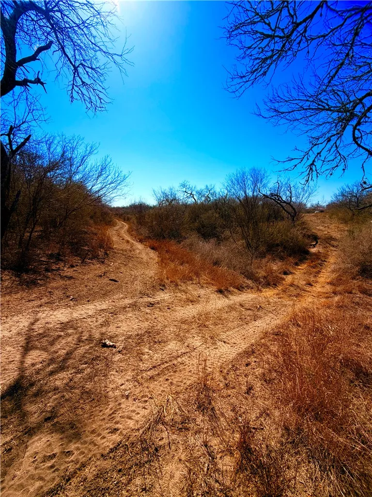 TRACT 13 SAN DIEGO CREEK RANCH San Diego, TX 78384