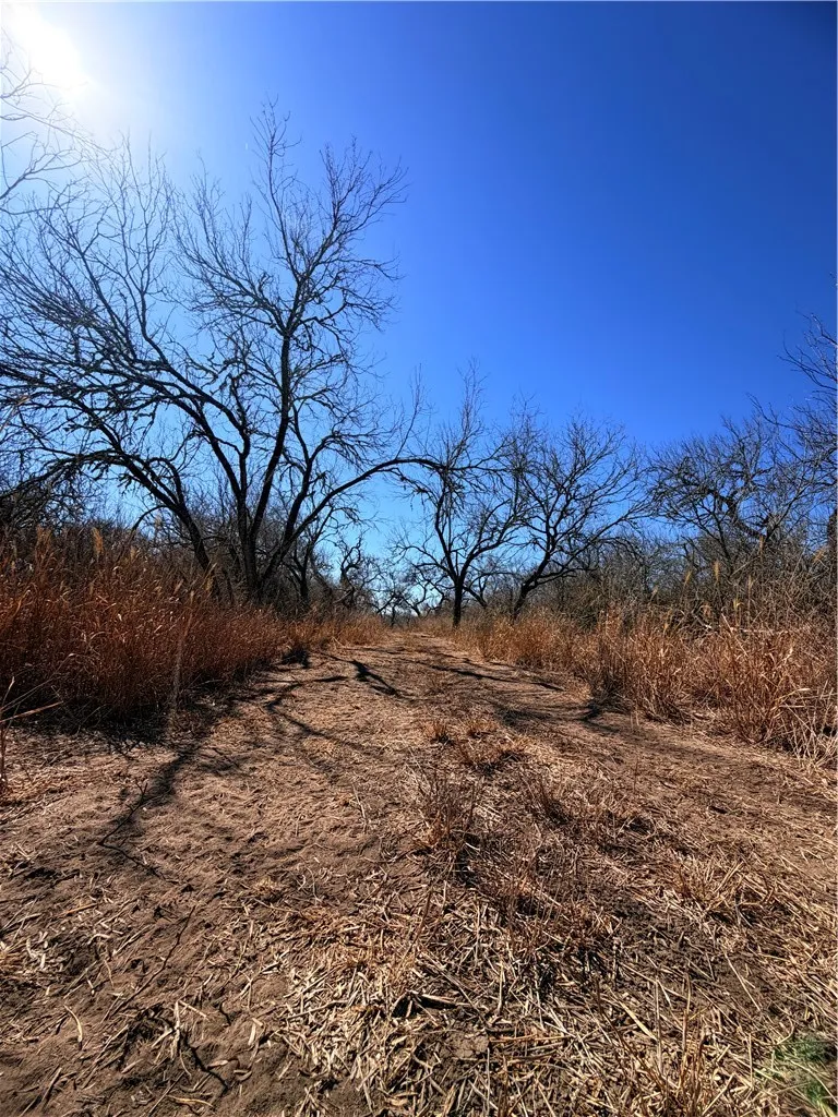 TRACT 13 SAN DIEGO CREEK RANCH San Diego, TX 78384