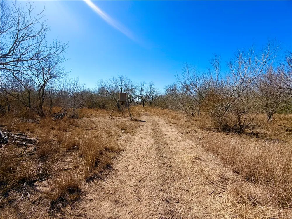 TRACT 13 SAN DIEGO CREEK RANCH San Diego, TX 78384