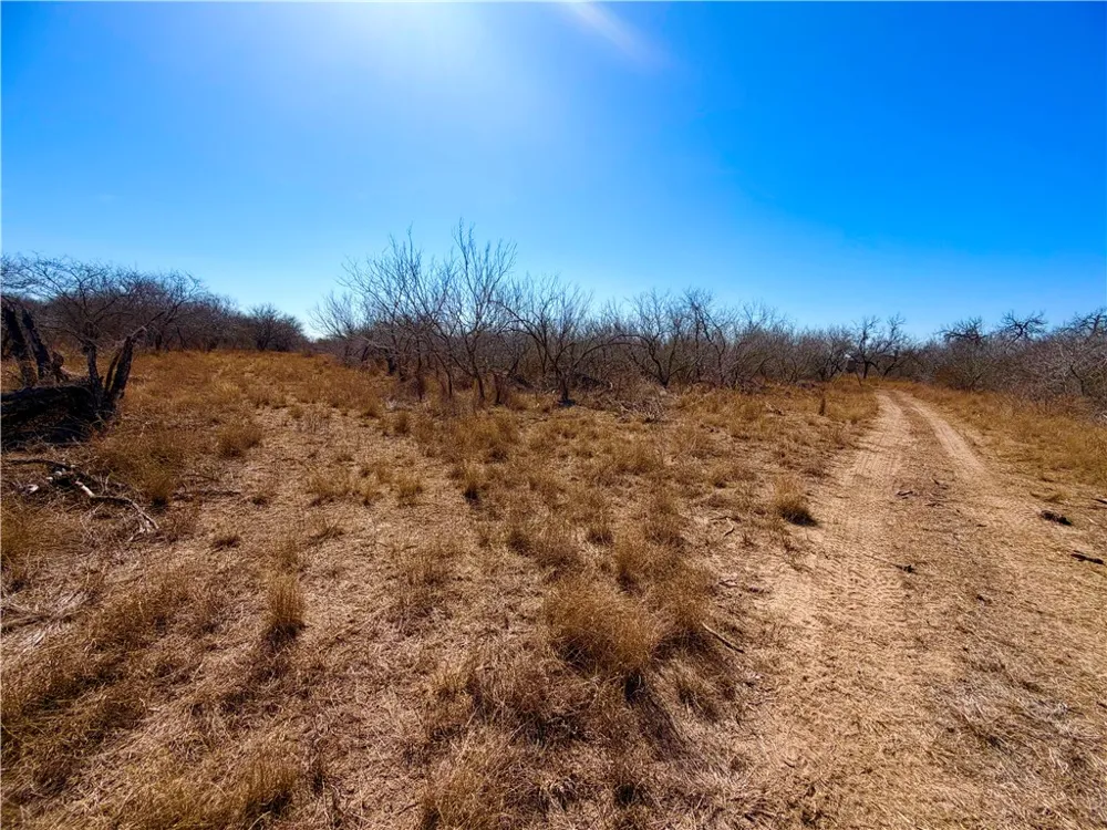 TRACT 13 SAN DIEGO CREEK RANCH San Diego, TX 78384