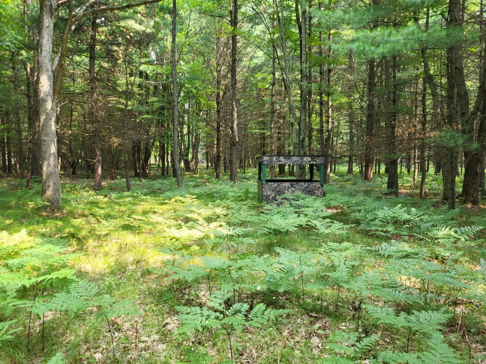 100 W Adams Road Farwell, MI 48622